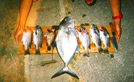 photo by satoru yahata