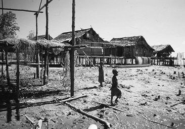 Papua子供と住居